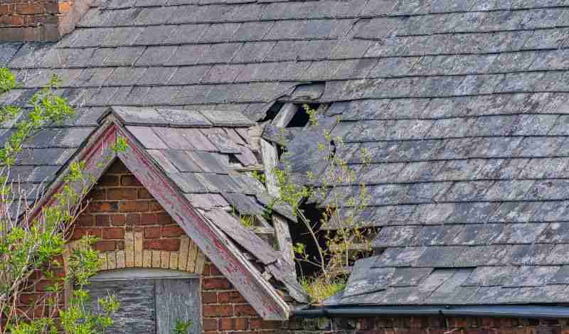 roof-repair-needed